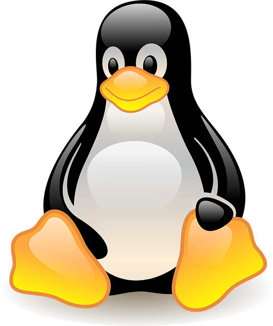 PINGWIN 