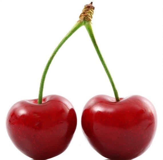 wiśnia