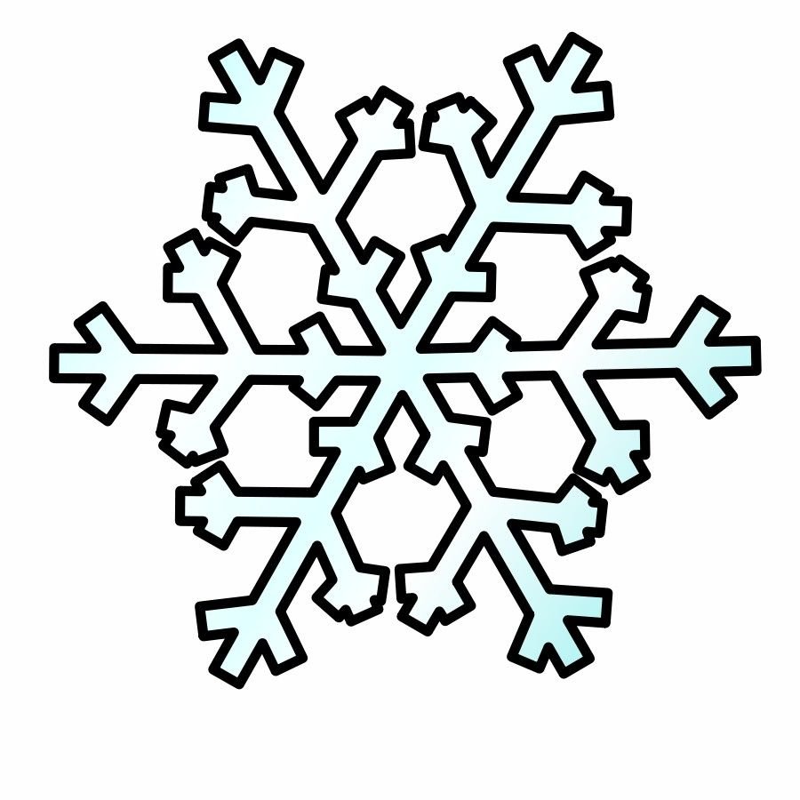 śnieg