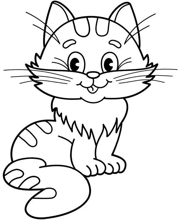 kot