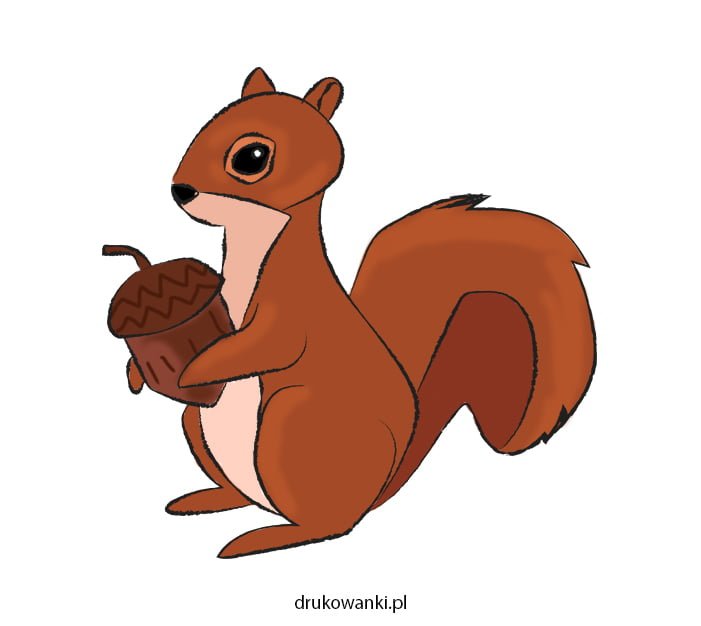 wiewiórka